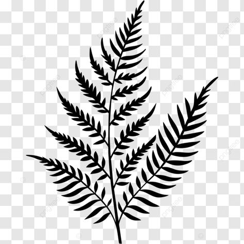 fern leaves coloring page black and white outline vector fern leaves sketch fern leaves coloring p Fern Outline, Leaves Coloring, Black And White Outline, Leaves Sketch, Leaf Coloring Page, Fern Leaves, Leaf Coloring, Art Png, Brush Strokes