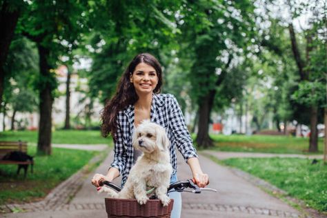 Dog Bike Basket, Dog Bike, Biking With Dog, Bike Basket, Dog Photos, Pet Care, High Res, A Dog, Best Dogs