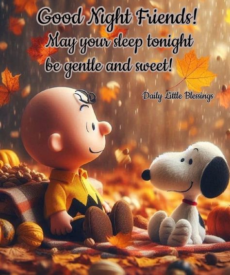 Good Night Everybody, Evening Blessings, Good Morning Happy Friday, Good Night Friends, Snoopy Quotes, Charlie Brown And Snoopy, Good Morning Happy, Good Evening, Happy Friday