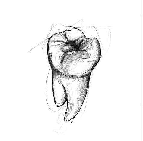 Teeth Sketch Anatomy, How To Draw A Teeth, Molar Tooth Drawing, Tooth Tattoo Ideas Dental, Dentures Drawing, Realistic Teeth Drawing, How To Draw A Tooth, Endodontics Art, Dentistry Drawing