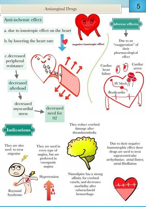 Pharmacology Mnemonics, Medications Nursing, Physician Assistant School, Nursing Information, Medical Notes, College Nursing, Nursing Study Guide, Medicine Notes, Medicine Studies