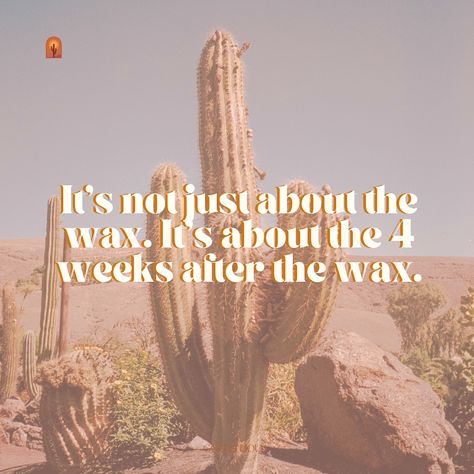 The most important thing to remember is that 80% of your wax results come for your routine at home. The 4 weeks between waxes are so important and will determine how comfortable your waxes are, how long you stay hairless and if you’ll end up with ingrown hairs. Stay hydrated 💦 Keeping yourself hydrated from the inside out ensures the hairs won’t break off leaving you with hair left over. It also makes your waxes easier. The first 24 hours ⏰ The first 24-48 hours are when you want to bab... Thanksgiving Waxing Quotes, Waxing Funny Humor Hair Removal, Waxing Memes, Waxing Quotes, Wax Content, Chemical Exfoliant, Esthetician Inspiration, Waxing Room, Wax Center