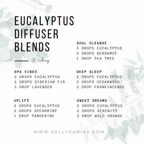 Eucalyptus Diffuser Blends, Doterra Eucalyptus, Relaxing Essential Oils, Doterra Diffuser Blends, Essential Oil Combinations, Essential Oil Education, Doterra Essential Oils Recipes, Essential Oil Diffuser Blends Recipes, Young Living Essential Oils Recipes