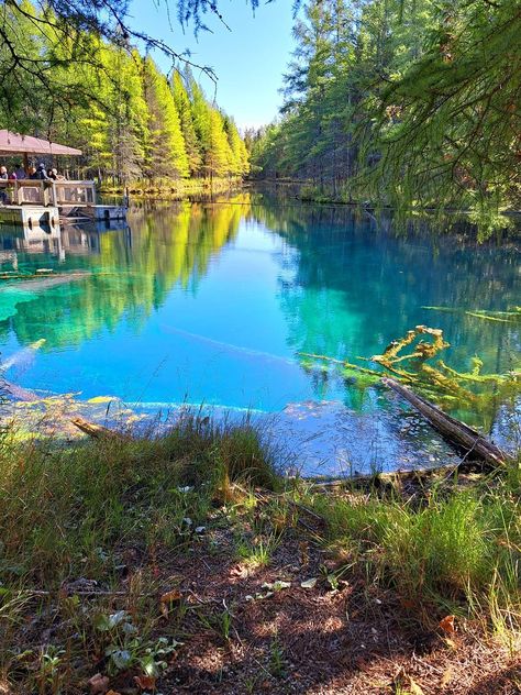 Upper Peninsula Travel | The ever-magical area of Kitch-iti-Kipi Kitch Iti Kipi, Michigan Bucket List, Upper Peninsula, Pure Michigan, Road Trip Usa, Trip Ideas, Bucket List, Michigan, Road Trip