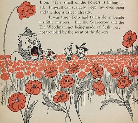 beauts Poppies Wizard Of Oz, Wizard Of Oz Illustration Vintage, Wizard Of Oz Poppy Field, Wizard Of Oz Poppies, Geo Tattoo, Poppies Illustration, Poppy Illustration, Wizard Of Oz Book, Wonderful Wizard Of Oz