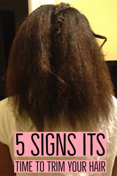 Signs You Need to Trim Your Natural Hair - Joanna E Healthy Hair Regimen, Homemade Hair Treatments, Hair Care Growth, Natural Hair Care Tips, Hair Trim, Homemade Hair Products, Healthy Natural Hair, Black Hair Care, Hair Remedies