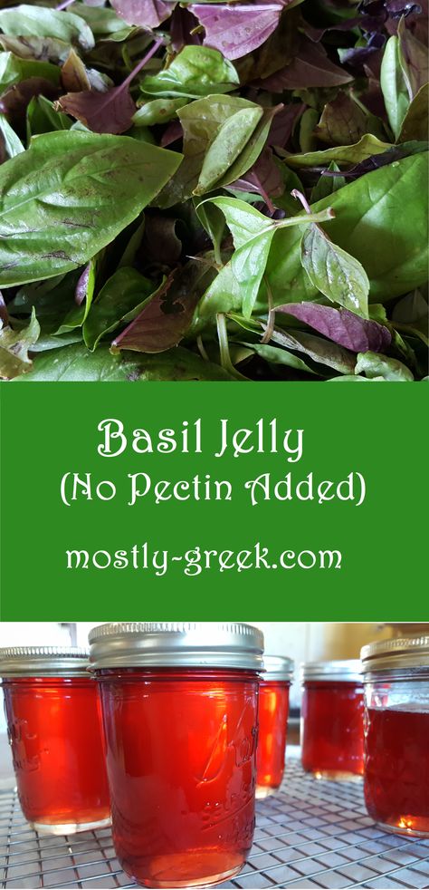 Basil creates a lively flavor for this delightful jelly. Using natural apple pectin means less sugar and more flavor, and reduces waste! Follow us for more great recipes and helpful tips! #mostlygreek #homemadejelly #jelly #herbs #jam #dessert #naturalfood #basil #greekfood #greekrecipes #apple Basil Jelly Uses, Herb Jam Recipes, Flower Jelly Recipes, Herb Jelly Recipes, Basil Jelly Recipe, Honeysuckle Jelly Recipe, Red Clover Jelly Recipe, Herb Jams, Clover Jelly Recipe