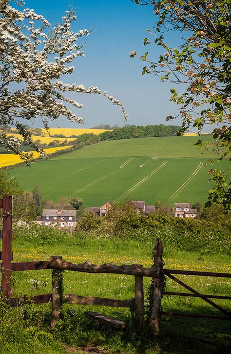 The village of Pitton in Wiltshire, UK  Avalon Lodge B&B more than just a place to stay British Village, English Village, British Countryside, England And Scotland, Village Life, England Uk, English Countryside, British Isles, Wales England