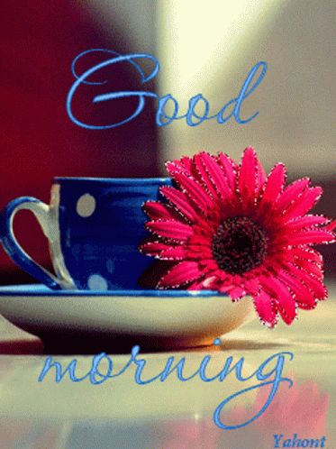 Good Morning Msg, Good Morning Images Hd, Good Morning My Love, Morning Gif, Morning Greetings Quotes, Cute Good Morning, Good Morning Picture, Good Morning Gif, Good Morning Love