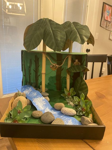 Sloth Habitat, Deciduous Forest Biome, Ecosystems Diorama, Fox Habitat, Monkey Habitat, Temperate Deciduous Forest, Owl Habitat, Ocean Diorama, Rainforest Project