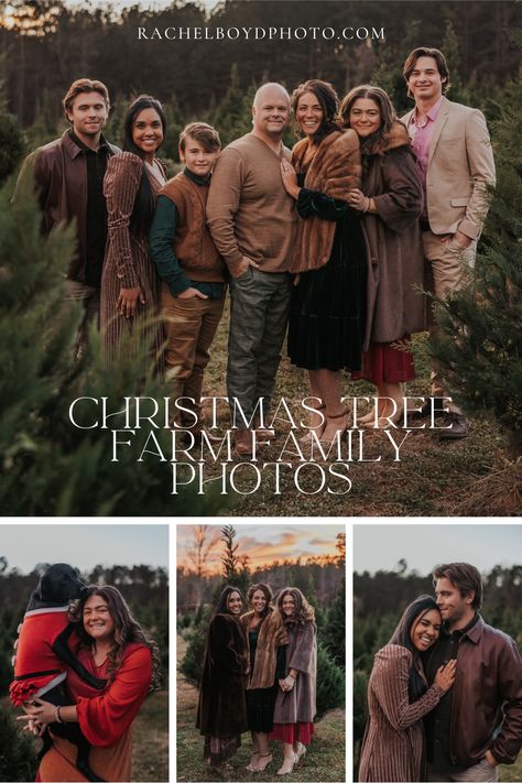 Christmas Tree Farm Family Photos | Christmas Card Family Photo Ideas. Needing tips for posing naturally and feeling comfortable in front of the camera? Discover winter family photoshoot outfits, winter family photoshoot poses, candid Christmas photos family pictures, and outdoor winter family photoshoot ideas! Inquire with Rachel for timeless and natural family Christmas photos at rachelboydphoto.com Family Photos Evergreen Trees, Christmas Family Photos Teenage, Rustic Family Christmas Pictures, Family Christmas Pictures Teenagers, Winter Western Family Photos, Family Pictures Tree Farm, Family Photos In Nature, Family Christmas Tree Farm Pictures Outfits, Outdoor Christmas Photoshoot Ideas Family