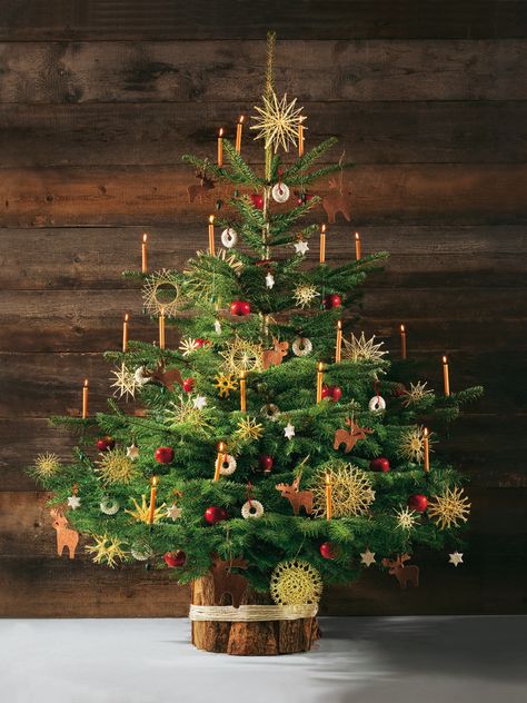 German Christmas Traditions, Old Fashion Christmas Tree, Festa Party, God Jul, German Christmas, Rustic Christmas Tree, Beautiful Christmas Trees, Old Fashioned Christmas, Christmas Tree Themes