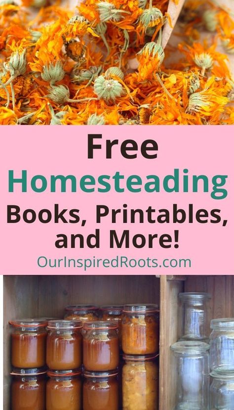 Homestead Journal Free Printable, Free Homestead Printables, Survival Printables, Homesteading Printables, Homesteading Books, Homestead Recipes, Self Sufficient Homestead, Growing Your Own Food, Amazing Meals