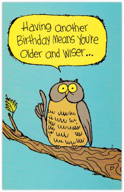 Wise Owl - Funny Birthday Card – Blue Bird Cards Gracefully Quotes, Owl Funny, Happy Birthday Owl, Aging Gracefully Quotes, Owl Birthday Card, Owl Quotes, Aip Breakfast, Owl Cards, Funny Owls