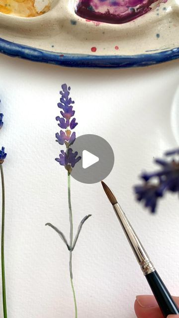 How To Paint Lavender Flowers Watercolor, Watercolour Lavender Tutorial, Watercolor Lavender Tutorial, How To Paint Lavender, How To Paint Lavender Flowers, Watercolor Art Flowers Simple, Lavender Plant Drawing, Lavender Flower Painting, Lavender Watercolor Painting