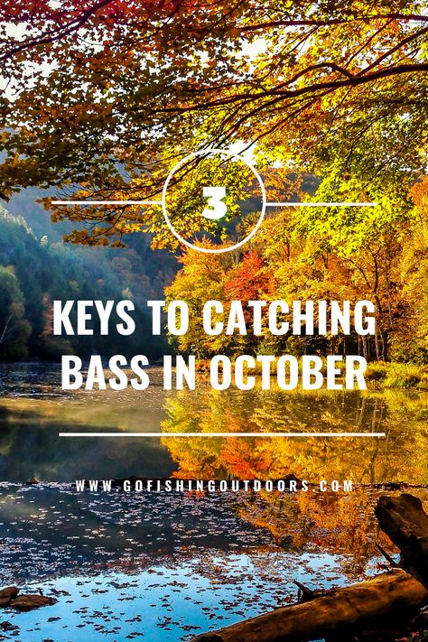 Best Bass Lures, Oregon Lakes, Smallmouth Bass Fishing, Fish Types, Largemouth Bass Fishing, Fishing 101, Bass Fishing Lures, Bass Lures, Bass Fishing Tips