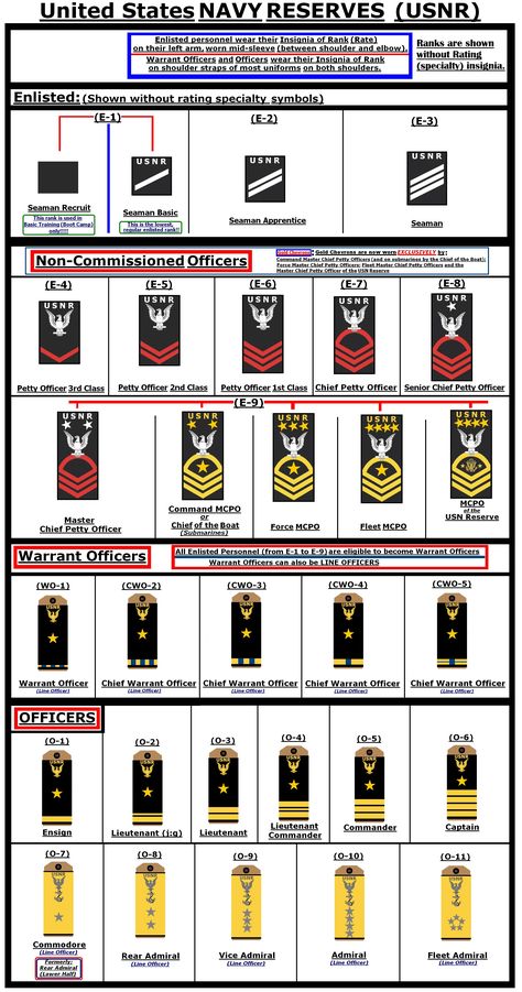 Hypothetical insignia of rank for the United States NAVY RESERVES.  They differ from active duty navy ranks by having the letters USNR above the "crow" or eagle device.  Enlisted ranks are shown without their rating or specialty insignia. Us Navy Ranks, Us Navy Enlisted Ranks, Navy Officer Ranks, Military Girlfriend Army, Navy Insignia, Navy Ranks, Tactical Medic, Navy Training, Navy Girlfriend