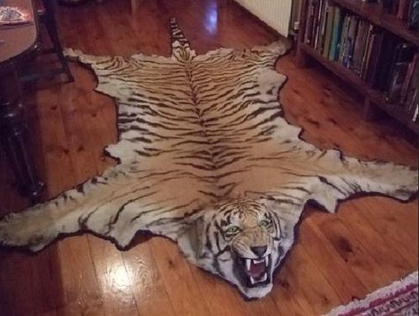 Don't be afraid to use animal skin. gorgeous lion rug. Animal Skin Rugs, Animal Skin Carpet, Animal Rugs, Animal Skin Rug, Taxidermy Decor, Tiger Rug, Skin Rugs, Tiger Skin, Animal Rug