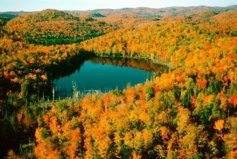 What Is Canada Like in October? Montreal Canada Fall, Canada In October, Laurentian Mountains, Canada Fall, Canada Cruise, Event Guide, Visit Canada, Of Montreal, Autumn Scenery