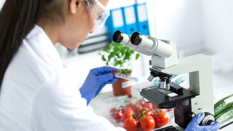 How to Become a Food Scientist | Career Girls - Explore Careers Food Technologist, Food Engineering, Food Tech, Food Technology, Food Scientist, Government Shutdown, Food Additives, Food Science, Food Quotes