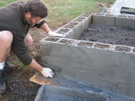 image only - no info, but could we do a DIY concrete bed that masked the cinder blocks? Pollinator Garden Design, Raised Bed Garden Design, Cinder Block Garden, Building Raised Garden Beds, Raised Bed Garden, Raised Flower Beds, Cement Blocks, Vegetable Garden Raised Beds, Building A Raised Garden