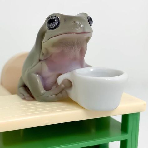 send frog pics? (@frogsinhats) • Instagram photos and videos Frog Drinking Tea, Frog Pics, Drinking Tea, Tea, Instagram Photos, Instagram