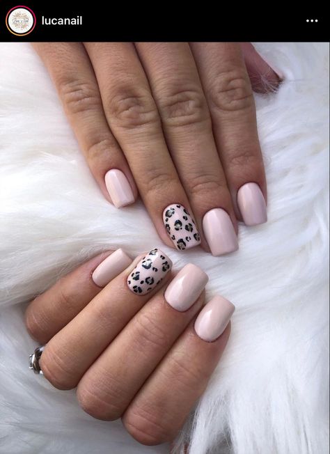 Pink With Leopard Nails, Pink And White Cheetah Nails, Light Pink Leopard Nails, Light Pink Cheetah Nails, Neutral Cheetah Nails, Spring Cheetah Nails, Lepord Nails Designs, Pink And Leopard Nails, Safari Nails Designs