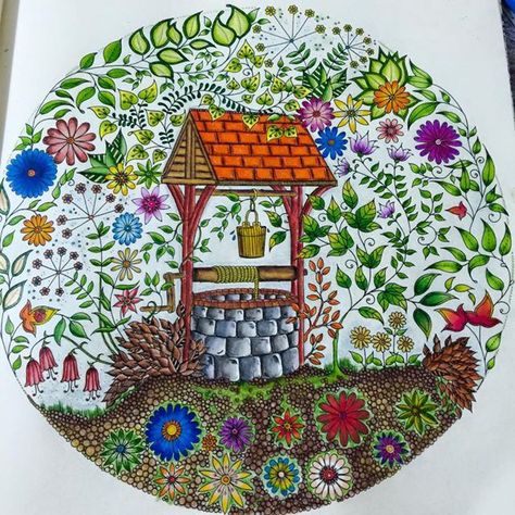 Secret Garden Johanna Basford, Johanna Basford Books, Secret Garden Book, Forest Coloring Book, Basford Secret Garden, Enchanted Forest Coloring Book, Johanna Basford Secret Garden, Enchanted Forest Coloring, Secret Garden Coloring Book