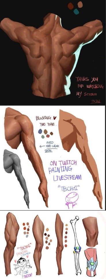 How To Color Muscles Digital, Hand Holding Crown Reference, Male Waist Drawing, Muscle Coloring Tutorial, Leather Art Reference, Male Body Back Reference, Buff Men Reference Photo, How To Color Abs Digital, Male Body Shading