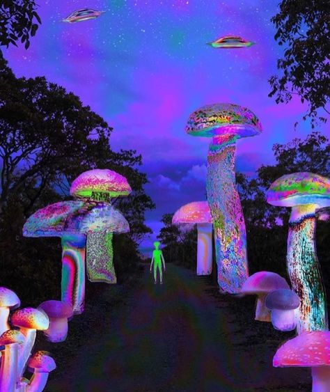 Trippy Pictures, Trippy Aesthetic, Trippy Artwork, Trippy Wall, Psychadelic Art, Psy Art, Energy Art, Trippy Wallpaper, Hippie Wallpaper