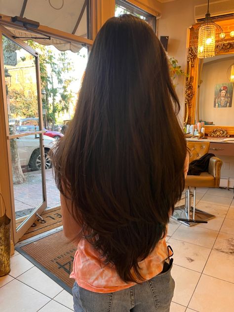 V Shape Layers, Hair Cut For Girls, V Cut Hair, V Shaped Haircut, Pretty Hair Cuts, V Shape Hair, Haircuts For Long Hair With Layers, Long Shiny Hair, Hair Inspiration Long