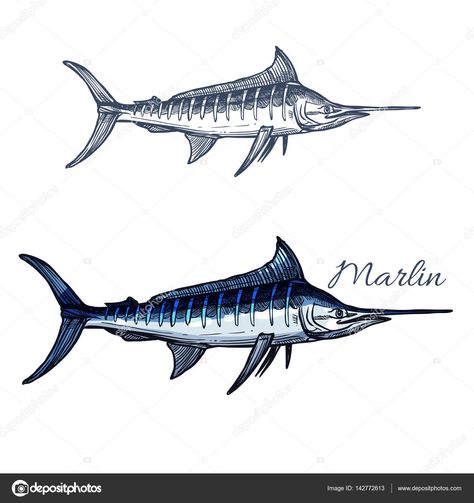 Blue Marlin Tattoo, Marlin Tattoo, Pacific Ocean Blue, Blue Marlin Fish, White Marlin, Marines Logo, Image Of Fish, Marlin Fish, Sketch Icon