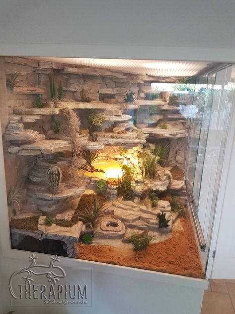 Amazing Pet Enclosures — by my.gecko.luvs Arid Reptile Terrarium, Large Bearded Dragon Enclosure, Excavator Clay Terrarium, Bio Active Terrarium Bearded Dragon, Geko Terrarium, Diy Gecko Enclosure, Beardie Enclosure Ideas, Large Reptile Enclosure, Bearded Dragon Vivarium Ideas