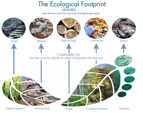 The Ecological Footprint is the only metric that measures how much nature we have and how much nature we use. Earth Overshoot Day, Non Renewable Energy, Ecological Footprint, Carbon Footprint, Natural Resources, Green Design, Goods And Services, Plant Based Recipes, Ecology