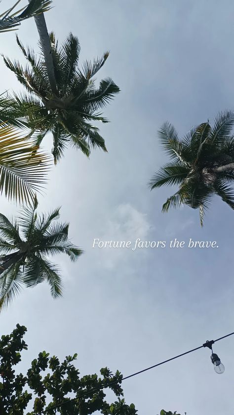 Fortune Favors The Brave, Brave Wallpaper, Motivation Wallpaper, Courage Quotes, The Brave, Let Go, What If, Letting Go, Brave