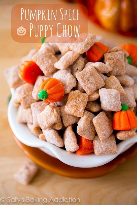 Puppy chow snack mix gets a festive twist with pumpkin spices and candy pumpkins. This fall variation of Muddy Buddies is simple and incredibly addictive! Recipe on sallysbakingaddiction.com Halloween Dessert Recipes Easy, Puppy Chow Snack, Desserts Apple, Desserts Pumpkin, Dessert Thanksgiving, Pumpkin Snack, Caramel Apples Homemade, Puppy Chow Recipes, Halloween Food Desserts