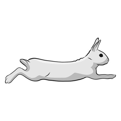 Rabbit run illustration #AD , #Sponsored, #sponsored, #illustration, #run, #Rabbit Jamal Tattoo, Run Illustration, Rabbit Pictures, Rabbit Run, Rabbit Head, Rabbit Illustration, Kids Running, Create A Logo, Graphic Image