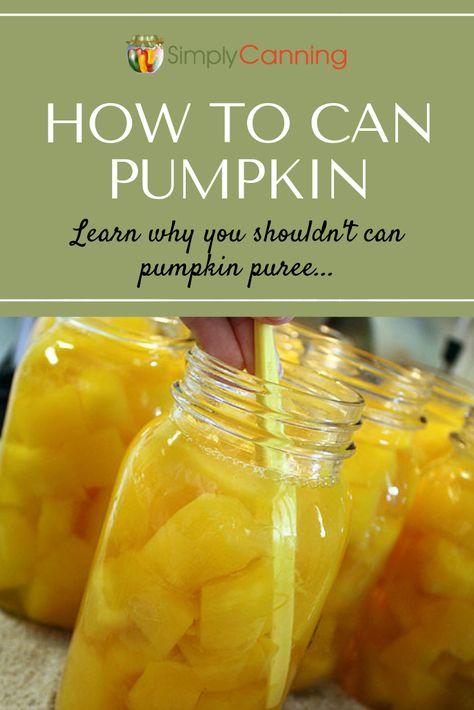 Should you can pumpkin puree or pumpkin butter at home? Learn what's the safest choice for canning pumpkin at #SimplyCanning #CanningPumpkin #Pumpkin Canning Pumpkin, Preserving Pumpkins, Can Pumpkin, Pumpkin Puree Recipes, Pressure Canning Recipes, Low Acid Recipes, Canning Vegetables, Canning Food Preservation, Homemade Pumpkin Puree