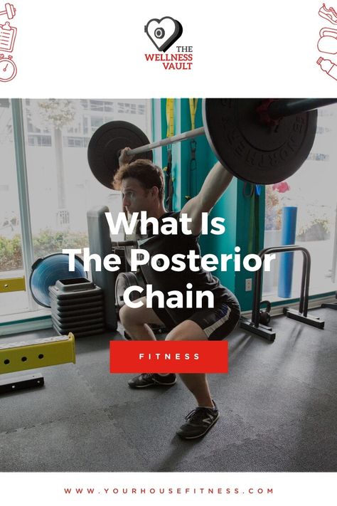 Posterior Chain Workout, Posterior Chain Exercises, Muscles In The Back, Dumbbell Hip Thrust, Pt Exercises, Deadlift Variations, Gym Program, Posterior Chain, Hamstring Muscles