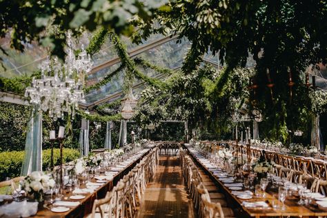 Luxurious outdoor tent wedding // Dom and Sunny's Sydney Wedding Nsw Wedding Locations, Wedding Venues Nsw, Australian Wedding Venues, Australia Wedding Venues, Sydney Wedding Venues, Tent Decorations Wedding, Glass Tent Wedding, Atrium Wedding, Glasshouse Wedding