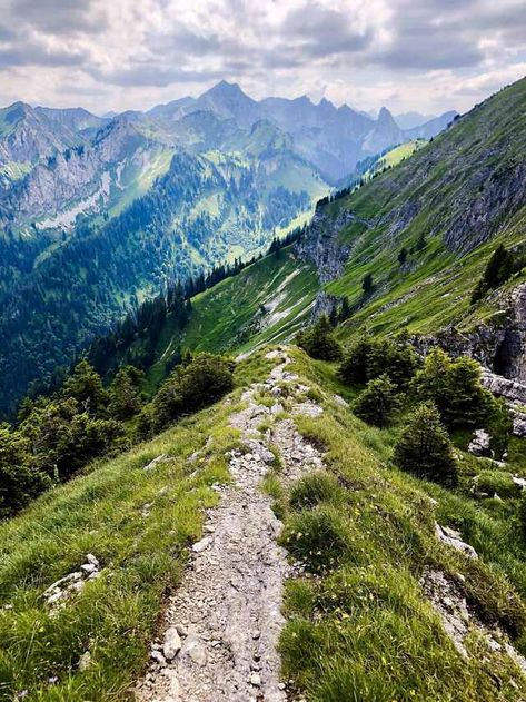 Hiking path from Klammspitze to Feigenkopf at 2000 m asl at Garmisch-Partenkirchen, Germany [OC] [3024x4032] Hiking In Germany, Germany Mountains, Germany Hiking, Germany Nature, Hiking Path, Germany Landscape, Garmisch Partenkirchen, Germany Photography, Hiking Photography