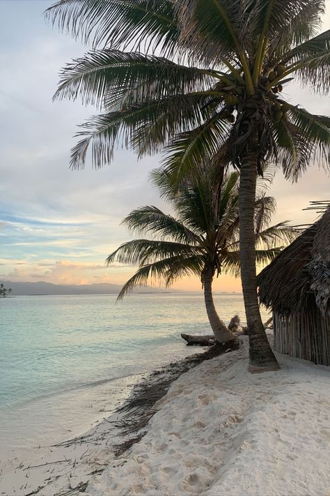 Island Hut Aesthetic, Panama San Blas, Panama Islands, Virginia Sanhouse, Palm Tree Island, San Blas Islands, Ocean Coral, San Blas, Pretty Landscapes