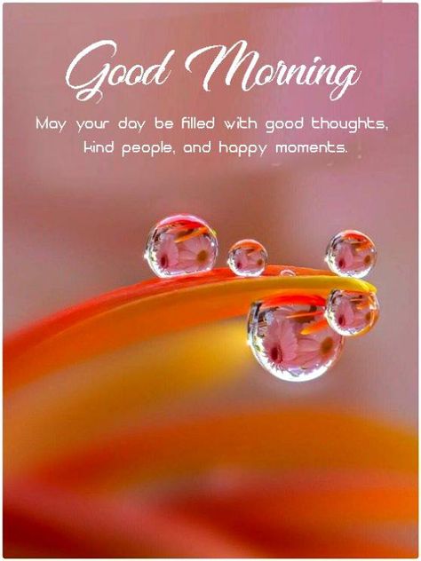 'May your day be filled with good thoughts, kind people, and happy moments'.Good Morning Wishes Messages For Lover and quotes for your best boyfriend & girlfriend' from Good Morning Messages category,Send cute and funny good morning messages and wishes for lovers and family ,love messages photos, rose messages pictures, romantic messages wishes and download for free from Goodmorningland website.You can share these images via Facebook, Whatsapp, google+, Twitter, Instagram, Pinterest. Morning Wishes For Lover, Funny Good Morning Messages, Funny Good Morning, Cute Good Morning Images, Happy Birthday Wishes Images, Kind People, Romantic Messages, Good Morning My Love, Birthday Wishes And Images