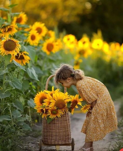 Sunflower Photoshoot, Sunflower Love, Sunflower Photo, Toddler Photos, Corn Maze, Sunflower Fields, Fall Pictures, Baby Photoshoot, Kids Pictures