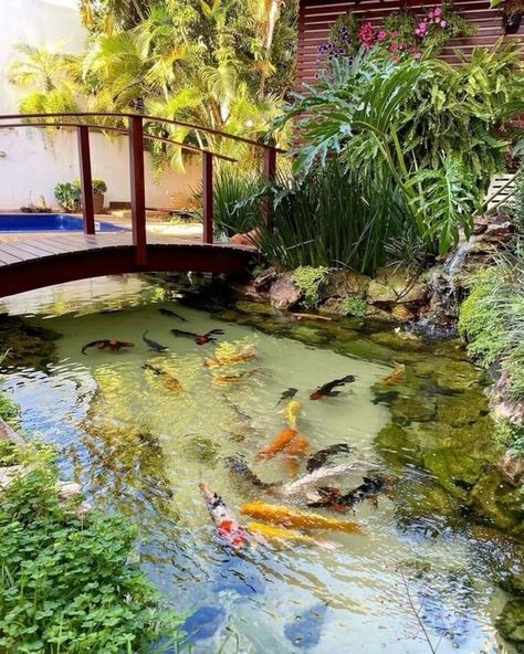 Japanese Koi Pond, Fish Ponds Backyard, Corner Garden Ideas, Koi Pond Design, Fish Pool, Backyard Animals, Kolam Koi, Fish Pond Gardens, Goldfish Pond