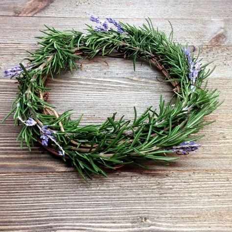 Uses For Rosemary, Rosemary Skewers, Rosemary Recipes, Rosemary Water, Growing Rosemary, Lavender Cottage, Mint Mojito, Easy Plants To Grow, Christmas Food Gifts