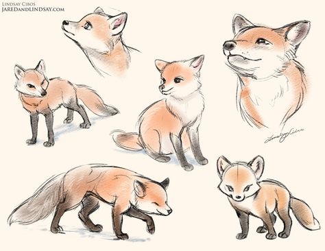 Desen Realist, Fox Drawing, Animal Drawings Sketches, 강아지 그림, 캐릭터 드로잉, Fox Art, Animal Sketches, Arte Animal, 판타지 아트