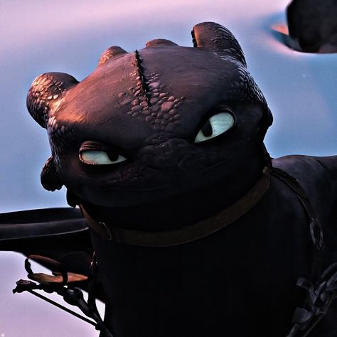 How to train your Dragon | Thootless [HTTYD icon] [Nightfury pfp] [Thootless icon] [dragons icon] [HTTYD pfp] [Fanart] [Nachtschatten] [Screencaps] [illustration] [Wallpaper] [HTTYD wallpaper] [How to train your Dragon] #httydicon #ohnezahnhttydicon #thootlesspfp #thootlesshttydicon #aesthetic #httydaesthetic #httydwallpaper #moviecharacter #moviepanel #httydofficialart #aestheticicon #aesthetic #nightfury #nightfuryaesthetic #toothlessicon #httydtoothless #httydthootless #httyd2 Httyd Pfp, Httyd Wallpaper, Pfp Fanart, Httyd Toothless, Toothless Night Fury, Night Fury Dragon, Dragon Icon, Httyd Art, Toothless Dragon