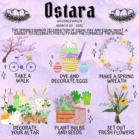 Losille’s Coven | Lucia Quinto on Instagram: "6 Simple Ostara Ritual Ideas! 🌸🌼🌷🌱☘️🦋🐑🐇🥚✨ ➡️ Searching for simple ways to celebrate it? Ostara Blessings! ✨ 🌸 The Spring Equinox…" Spring Equinox Celebration, Content Graphic Design, Ostara Blessings, Spring Equinox Ritual, Ostara Ritual, Wicca Holidays, Ritual Ideas, Witches Wheel, Pagan Magick