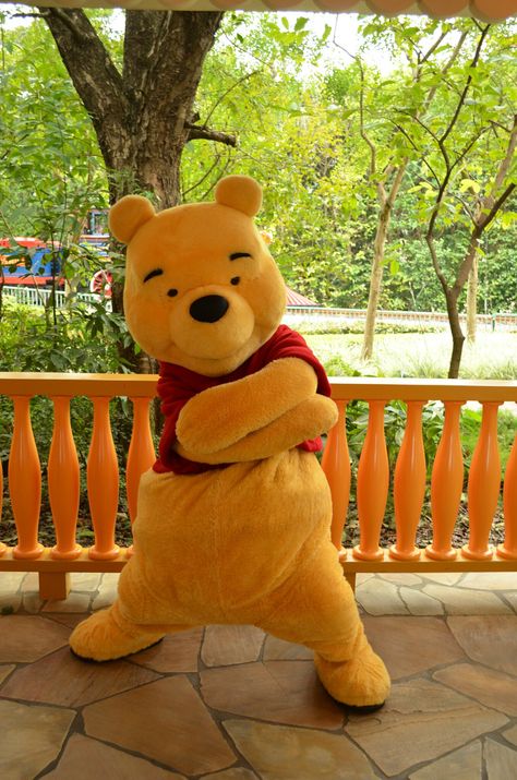 Winnie The Pooh Pictures, Disney World Pictures, Disney World Characters, Cute Pose, Cute Winnie The Pooh, Bear Costume, Winnie The Pooh Friends, Gangnam Style, Disney Park